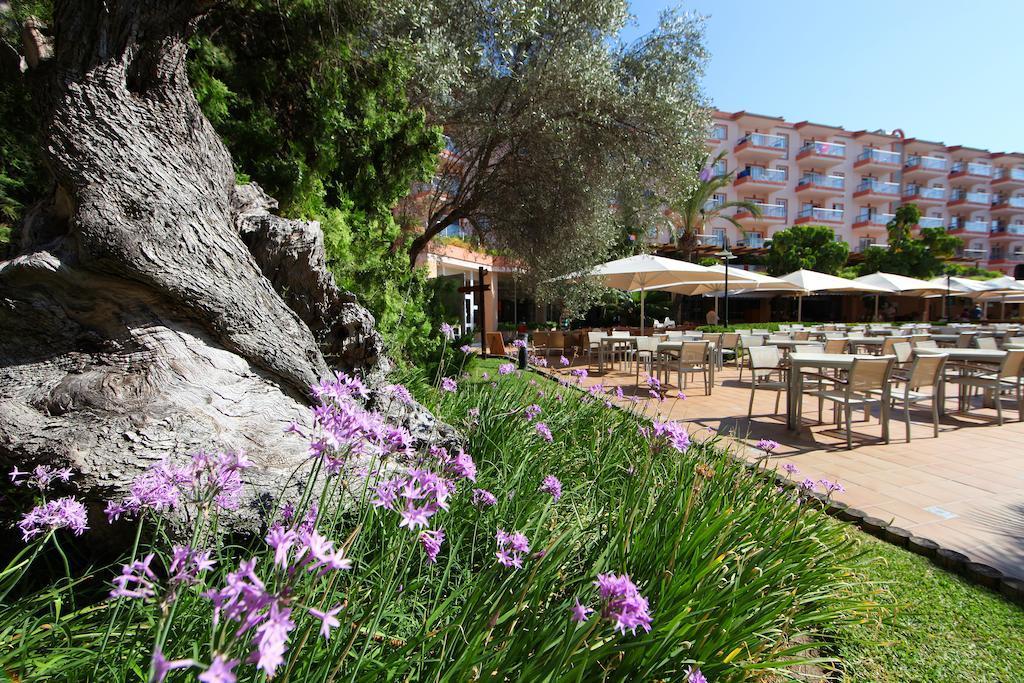 Viva Sunrise Appart hôtel Port d'Alcúdia